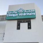 Horaire Vétérinaire kénitra Clinique vétérinaire