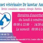 Horaire Médecin vétérinaire AMINE Dr Kawtar Cabinet vétérinaire