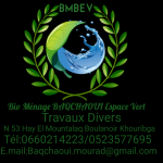 Menage et travaux divirs Bio Ménage Baqchaoui Espace Vert khouribga